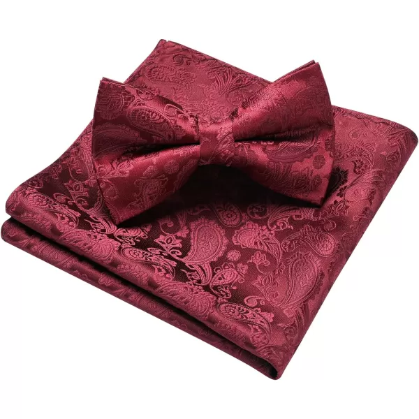 HISDERN Bow Ties for Men Paisley Floral Pre-tied Bowtie Pocket Square Set Men's Formal Bow Ties Wedding Party…