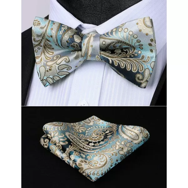HISDERN Bow Ties for Men Paisley Floral Pre-tied Bowtie Pocket Square Set Men's Formal Bow Ties Wedding Party…