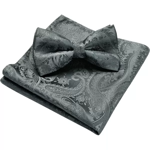 HISDERN Bow Ties for Men Paisley Floral Pre-tied Bowtie Pocket Square Set Men's Formal Bow Ties Wedding Party…
