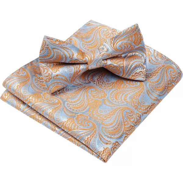 HISDERN Bow Ties for Men Paisley Floral Pre-tied Bowtie Pocket Square Set Men's Formal Bow Ties Wedding Party…