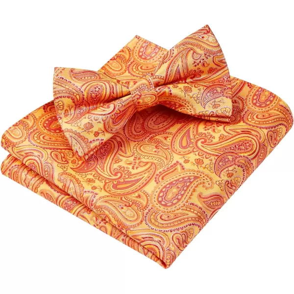HISDERN Bow Ties for Men Paisley Floral Pre-tied Bowtie Pocket Square Set Men's Formal Bow Ties Wedding Party…