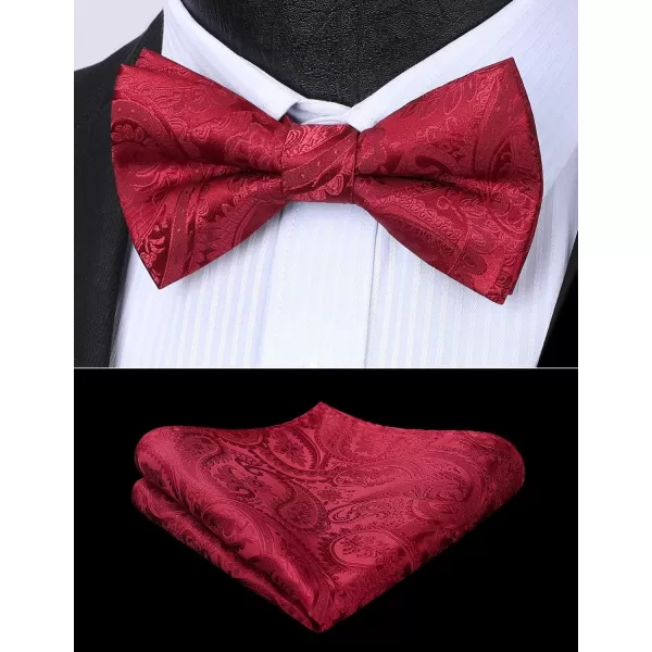 HISDERN Bow Ties for Men Paisley Floral Pre-tied Bowtie Pocket Square Set Men's Formal Bow Ties Wedding Party…