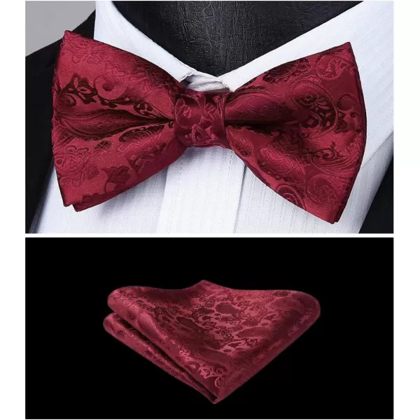 HISDERN Bow Ties for Men Paisley Floral Pre-tied Bowtie Pocket Square Set Men's Formal Bow Ties Wedding Party…