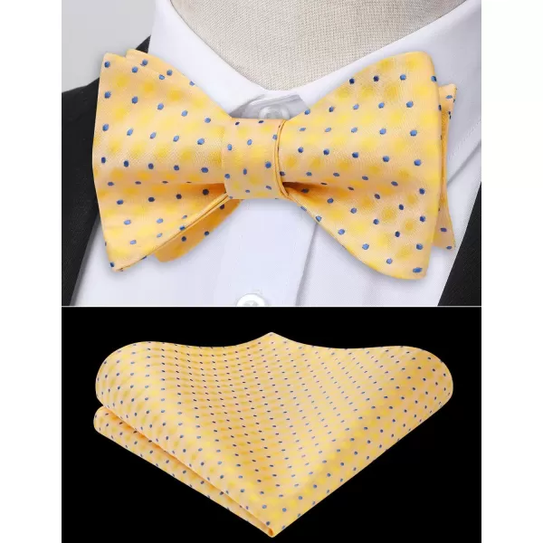 HISDERN Bow Ties for Men Polka Dot Selftie Bowtie and Pocket Square Classic Business Tuxedo Wedding Bowties Handkerchief