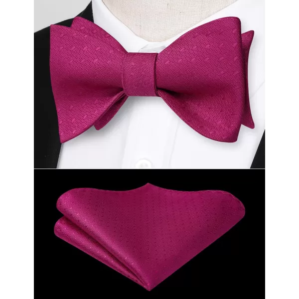HISDERN Bow Ties for Men Polka Dot Selftie Bowtie and Pocket Square Classic Business Tuxedo Wedding Bowties Handkerchief