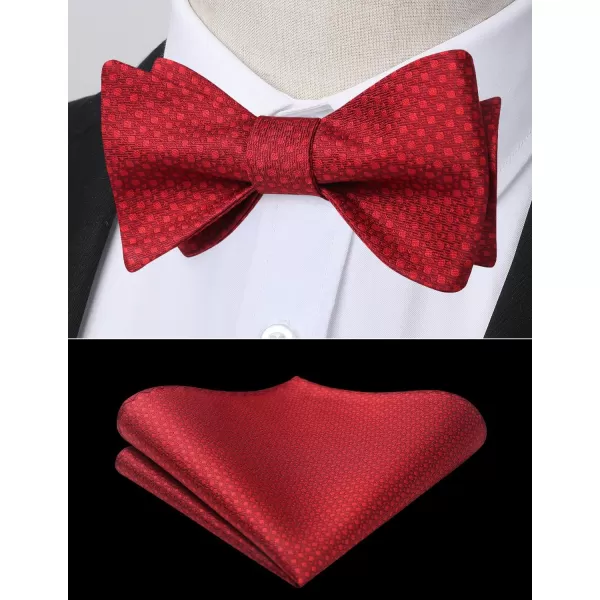 HISDERN Bow Ties for Men Polka Dot Selftie Bowtie and Pocket Square Classic Business Tuxedo Wedding Bowties Handkerchief