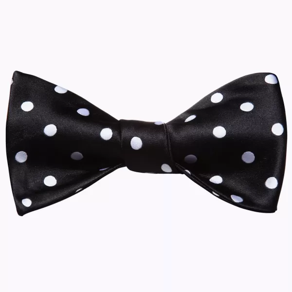 HISDERN Bow Ties for Men Polka Dot Selftie Bowtie and Pocket Square Classic Business Tuxedo Wedding Bowties Handkerchief