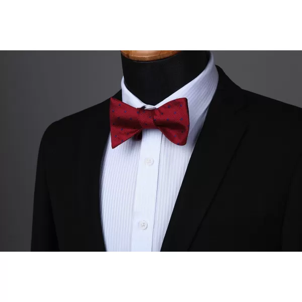HISDERN Bow Ties for Men Polka Dot Selftie Bowtie and Pocket Square Classic Business Tuxedo Wedding Bowties Handkerchief
