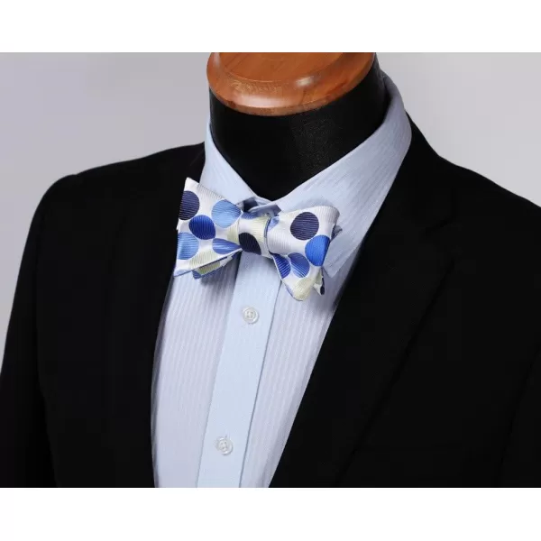 HISDERN Bow Ties for Men Polka Dot Selftie Bowtie and Pocket Square Classic Business Tuxedo Wedding Bowties Handkerchief
