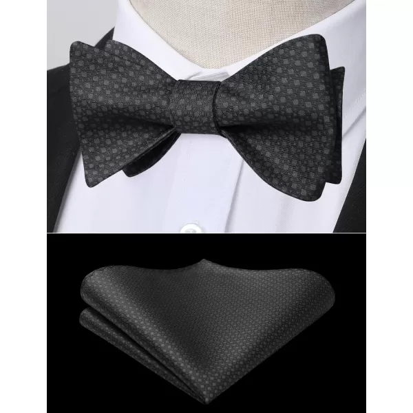 HISDERN Bow Ties for Men Polka Dot Selftie Bowtie and Pocket Square Classic Business Tuxedo Wedding Bowties Handkerchief