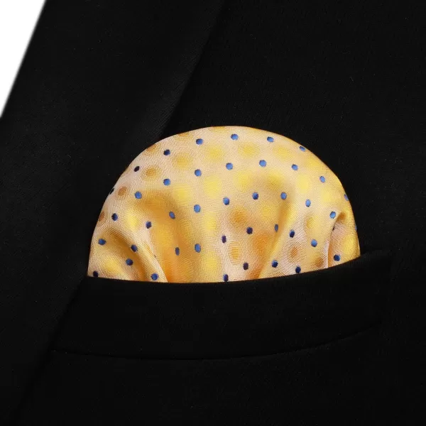 HISDERN Bow Ties for Men Polka Dot Selftie Bowtie and Pocket Square Classic Business Tuxedo Wedding Bowties Handkerchief