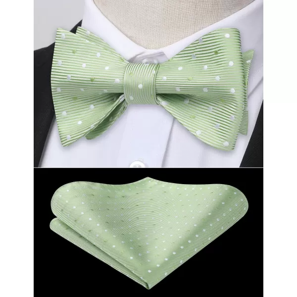 HISDERN Bow Ties for Men Polka Dot Selftie Bowtie and Pocket Square Classic Business Tuxedo Wedding Bowties Handkerchief