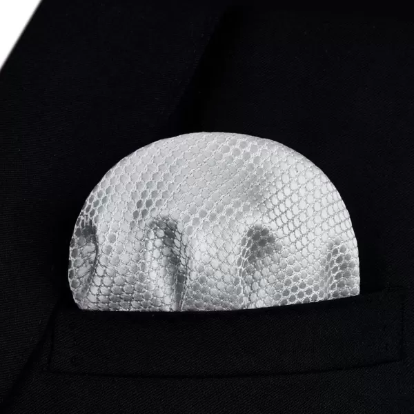 HISDERN Bow Ties for Men Polka Dot Selftie Bowtie and Pocket Square Classic Business Tuxedo Wedding Bowties Handkerchief