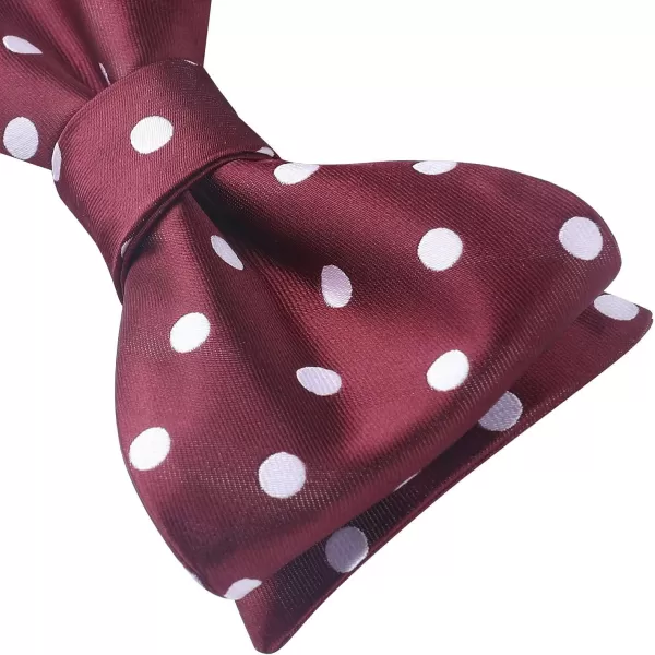 HISDERN Bow Ties for Men Polka Dot Selftie Bowtie and Pocket Square Classic Business Tuxedo Wedding Bowties Handkerchief