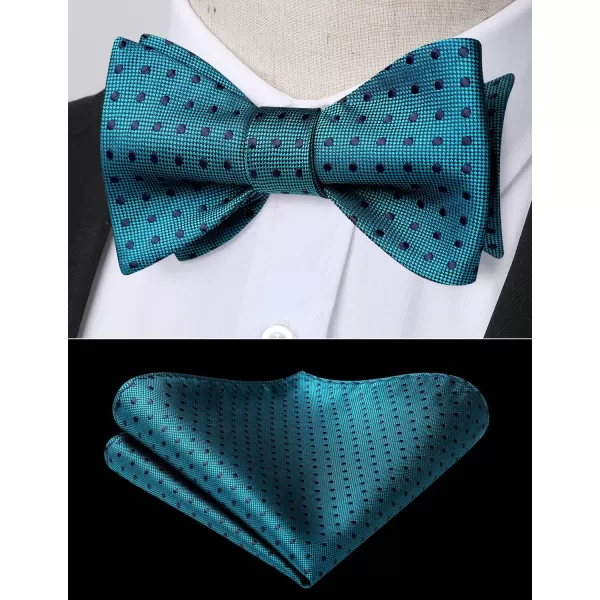 HISDERN Bow Ties for Men Polka Dot Selftie Bowtie and Pocket Square Classic Business Tuxedo Wedding Bowties Handkerchief