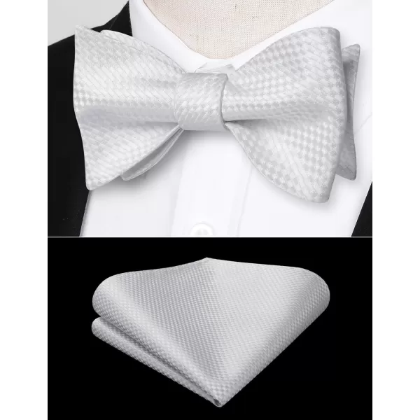 HISDERN Bow Ties for Men Polka Dot Selftie Bowtie and Pocket Square Classic Business Tuxedo Wedding Bowties Handkerchief