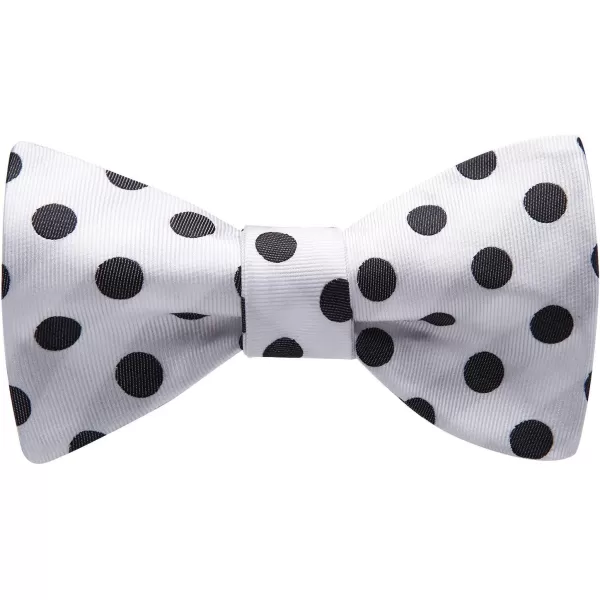 HISDERN Bow Ties for Men Polka Dot Selftie Bowtie and Pocket Square Classic Business Tuxedo Wedding Bowties Handkerchief