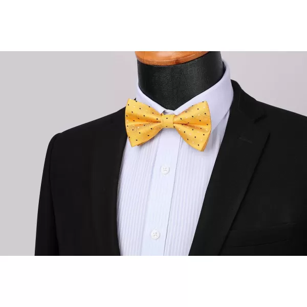HISDERN Bow Ties for Men Pre-Tie Bow Tie and Pocket Square Set Bowtie Formal Tuxedo Wedding Bowties Handkerchief Set