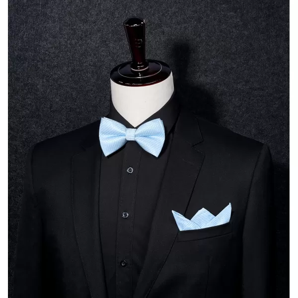 HISDERN Bow Ties for Men Pre-Tie Bow Tie and Pocket Square Set Bowtie Formal Tuxedo Wedding Bowties Handkerchief Set