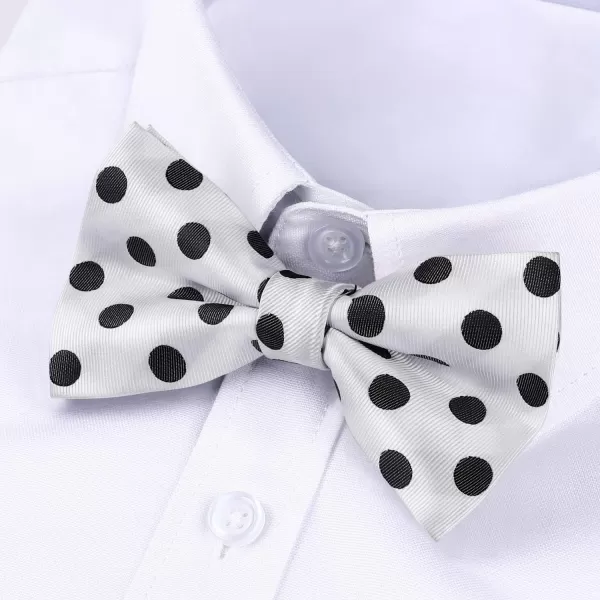 HISDERN Bow Ties for Men Pre-Tie Bow Tie and Pocket Square Set Bowtie Formal Tuxedo Wedding Bowties Handkerchief Set