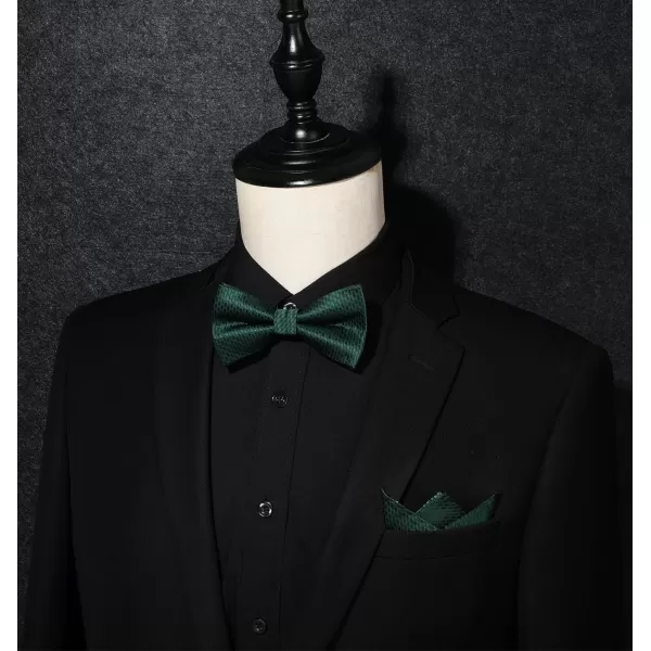 HISDERN Bow Ties for Men Pre-Tie Bow Tie and Pocket Square Set Bowtie Formal Tuxedo Wedding Bowties Handkerchief Set
