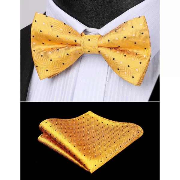 HISDERN Bow Ties for Men Pre-Tie Bow Tie and Pocket Square Set Bowtie Formal Tuxedo Wedding Bowties Handkerchief Set