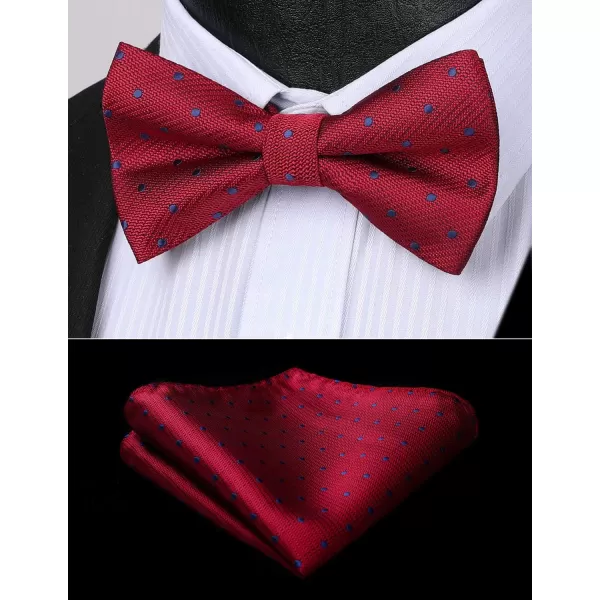 HISDERN Bow Ties for Men Pre-Tie Bow Tie and Pocket Square Set Bowtie Formal Tuxedo Wedding Bowties Handkerchief Set
