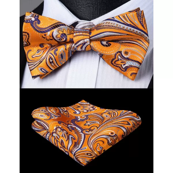 HISDERN Bow Ties for Men Pre-tied Paisley Bow Ties Pocket Square Set Men's Bowtie Wedding Party
