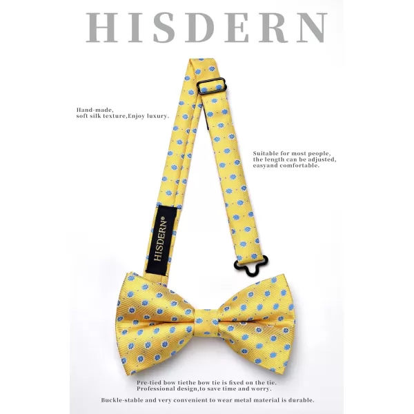 HISDERN Bow Ties for Men Pre-tied Paisley Bow Ties Pocket Square Set Men's Bowtie Wedding Party