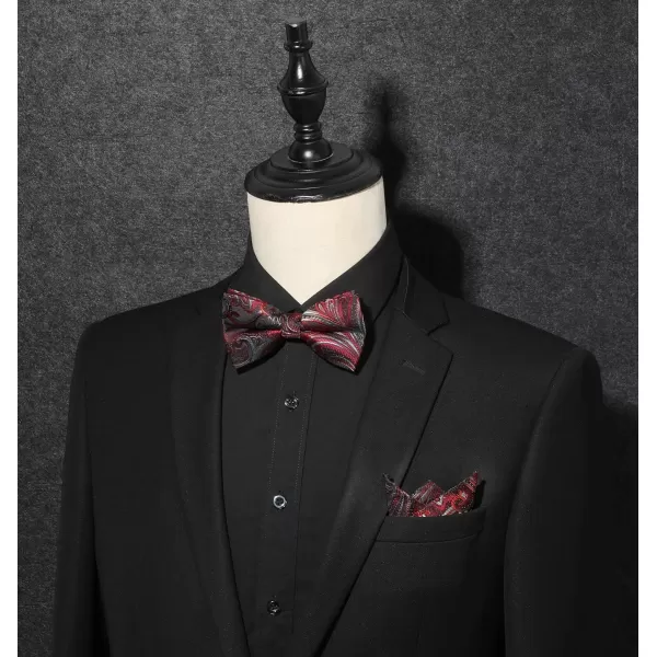 HISDERN Bow Ties for Men Pre-tied Paisley Bow Ties Pocket Square Set Men's Bowtie Wedding Party