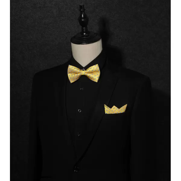 HISDERN Bow Ties for Men Pre-tied Paisley Bow Ties Pocket Square Set Men's Bowtie Wedding Party