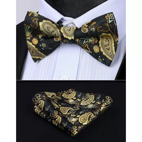 HISDERN Bow Ties for Men Pre-tied Paisley Bow Ties Pocket Square Set Men's Bowtie Wedding Party