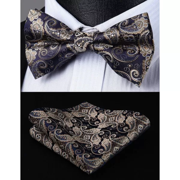 HISDERN Bow Ties for Men Pre-tied Paisley Bow Ties Pocket Square Set Men's Bowtie Wedding Party