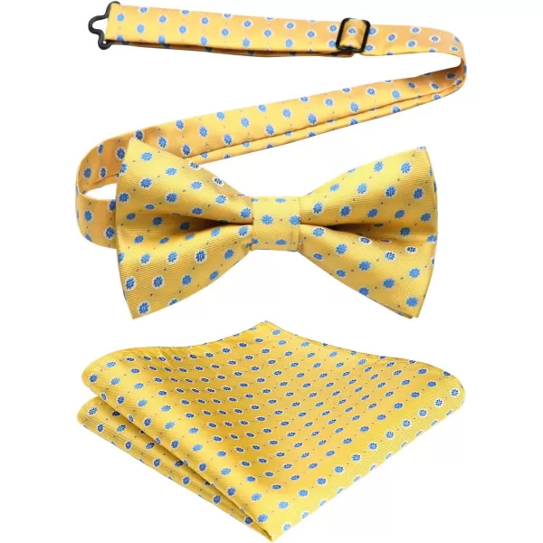 HISDERN Bow Ties for Men Pre-tied Paisley Bow Ties Pocket Square Set Men's Bowtie Wedding Party