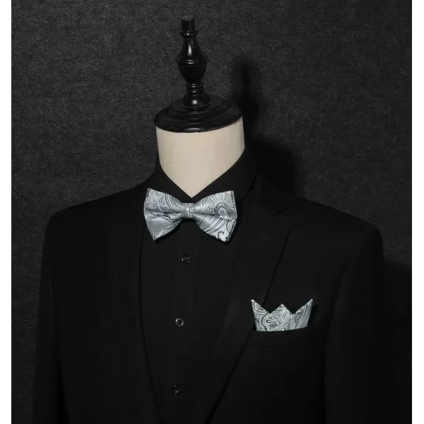 HISDERN Bow Ties for Men Pre-tied Paisley Bow Ties Pocket Square Set Men's Bowtie Wedding Party