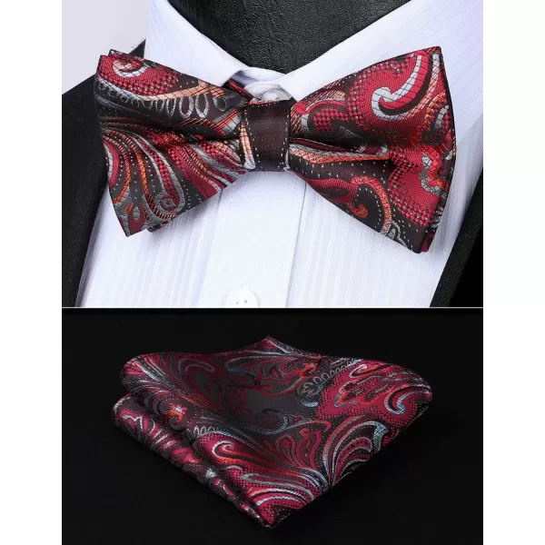 HISDERN Bow Ties for Men Pre-tied Paisley Bow Ties Pocket Square Set Men's Bowtie Wedding Party
