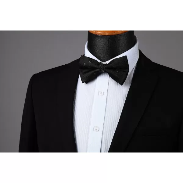 HISDERN Bow Ties for Men Pre-tied Paisley Bow Ties Pocket Square Set Men's Bowtie Wedding Party