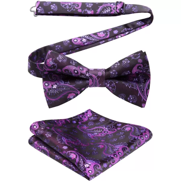 HISDERN Bow Ties for Men Pre-tied Paisley Bow Ties Pocket Square Set Men's Bowtie Wedding Party