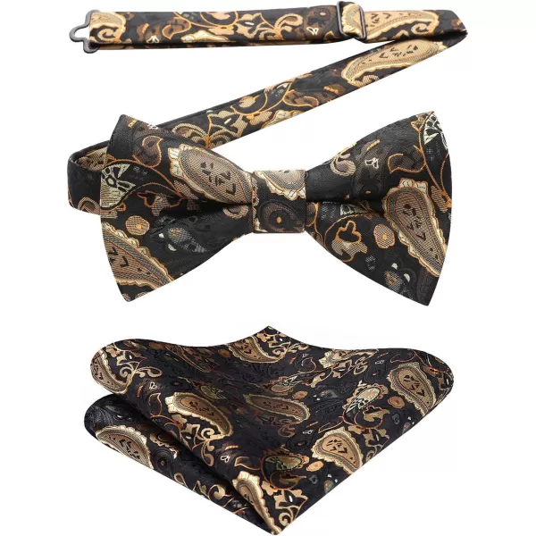 HISDERN Bow Ties for Men Pre-tied Paisley Bow Ties Pocket Square Set Men's Bowtie Wedding Party