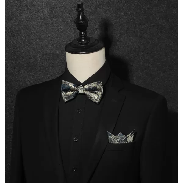 HISDERN Bow Ties for Men Pre-tied Paisley Bow Ties Pocket Square Set Men's Bowtie Wedding Party
