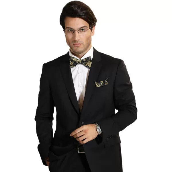 HISDERN Bow Ties for Men Pre-tied Paisley Bow Ties Pocket Square Set Men's Bowtie Wedding Party