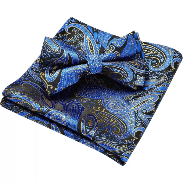 HISDERN Bow Ties for Men Pre-tied Paisley Bow Ties Pocket Square Set Men's Bowtie Wedding Party