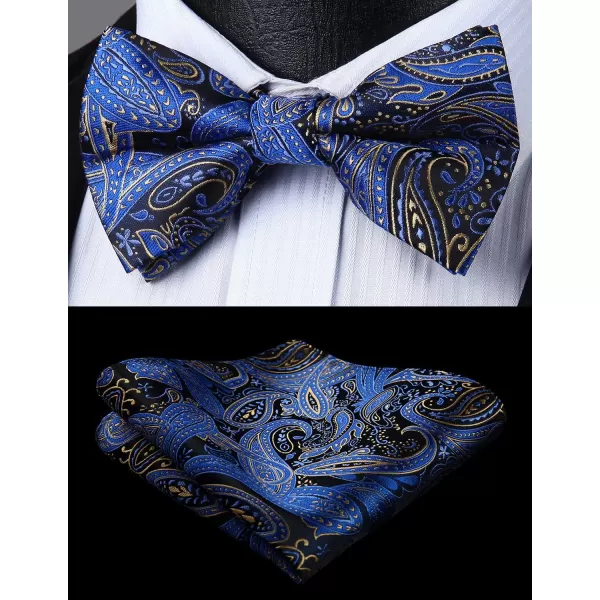 HISDERN Bow Ties for Men Pre-tied Paisley Bow Ties Pocket Square Set Men's Bowtie Wedding Party