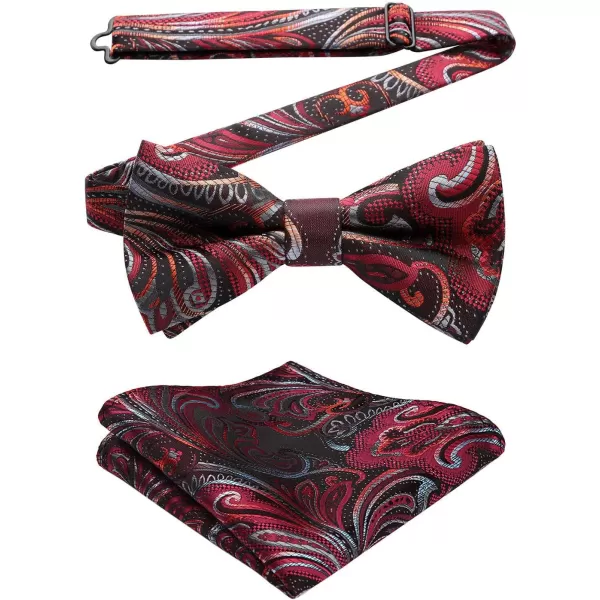 HISDERN Bow Ties for Men Pre-tied Paisley Bow Ties Pocket Square Set Men's Bowtie Wedding Party