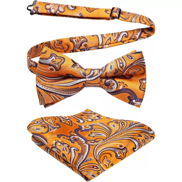HISDERN Bow Ties for Men Pre-tied Paisley Bow Ties Pocket Square Set Men's Bowtie Wedding Party