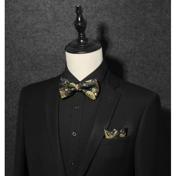 HISDERN Bow Ties for Men Pre-tied Paisley Bow Ties Pocket Square Set Men's Bowtie Wedding Party