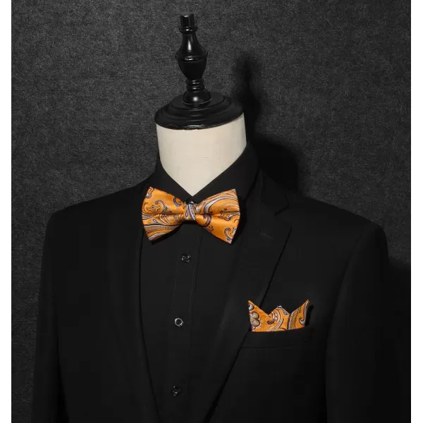 HISDERN Bow Ties for Men Pre-tied Paisley Bow Ties Pocket Square Set Men's Bowtie Wedding Party