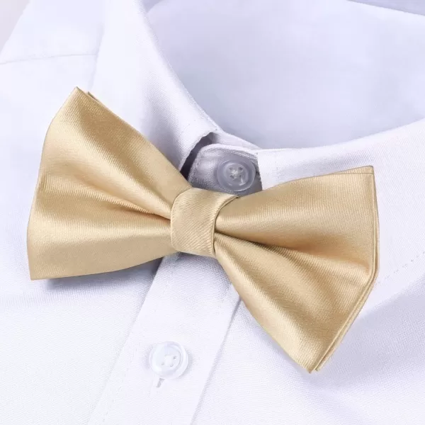 HISDERN Bow Ties for Men Pretied Bowties Classic Formal Business Bow Tie Adjustable Tuxedo Bowtie for Wedding Party