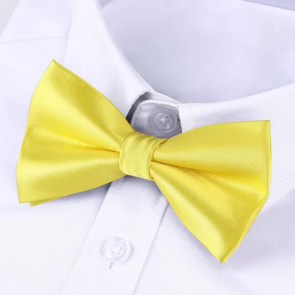 HISDERN Bow Ties for Men Pretied Bowties Classic Formal Business Bow Tie Adjustable Tuxedo Bowtie for Wedding Party
