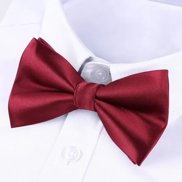 HISDERN Bow Ties for Men Pretied Bowties Classic Formal Business Bow Tie Adjustable Tuxedo Bowtie for Wedding Party